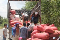 Bị dừng xe chở quá tải, tài xế lao thẳng vào lực lượng chức năng
