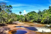 Video: Bể bơi tự nhiên hút khách giữa rừng Amazon