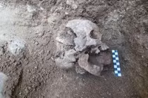 Tìm thấy xác “ma ca rồng” thời La Mã cổ đại ở Ý