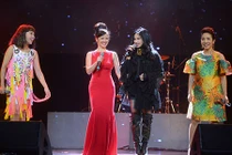 Soi hôn nhân của Hồng Nhung và diva làng nhạc Việt