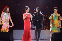 Soi hôn nhân của Hồng Nhung và diva làng nhạc Việt