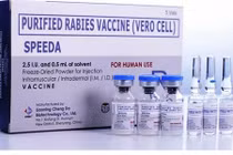 Vaccine ngừa dại của Trung Quốc lưu hành ở Việt Nam có bị dính bê bối?