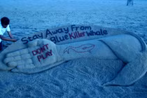 Cái giá phải trả cho kẻ xúi giục người khác chết vì "Cá voi xanh"