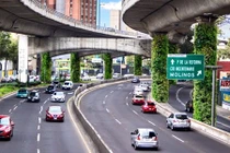 Những vườn cây thẳng đứng phủ xanh các cột trụ trên đường cao tốc