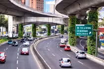 Những vườn cây thẳng đứng phủ xanh các cột trụ trên đường cao tốc