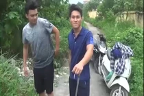 Video: Hú hồn xem đặt 11 bẫy dính trúng 6 con rắn hổ mang ở Hà Nội