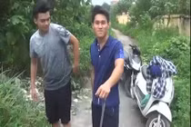 Video: Hú hồn xem đặt 11 bẫy dính trúng 6 con rắn hổ mang ở Hà Nội