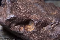 Viên đá 10kg vứt ở cửa giá 2,3 tỷ: Chủ nhà ngã ngửa