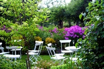 Gửi quà chúc Tết, mẹ nghèo lặng người trước câu nói thông gia