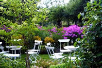 Gửi quà chúc Tết, mẹ nghèo lặng người trước câu nói thông gia