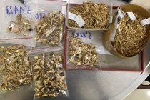 Vụ 9X trộm hơn 430 lượng vàng: Từ người học việc thành 'siêu trộm'