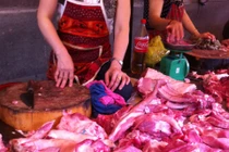 Xét nghiệm nhanh chất tạo nạc tồn dư trong thịt