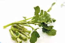 Rau cải xoong điều trị sỏi thận