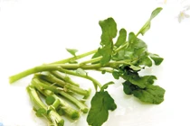 Rau cải xoong điều trị sỏi thận