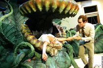 Cây ăn thịt người, từ truyền thuyết đến sự thật