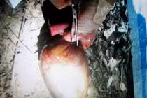 Công khai hình ảnh tiêu hủy mật “bò tót sân bay”