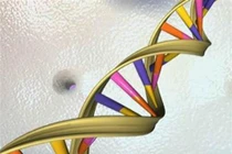 Xét nghiệm ADN cần những loại mẫu nào?