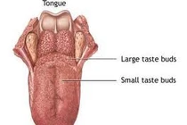 Điều trị bổ trợ ung thư là gì?