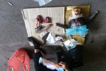 Thực hư việc ăn óc khỉ chữa bách bệnh của đại gia