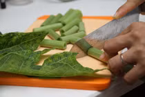 Thực hư chuyện lá đu đủ chữa khỏi ung thư