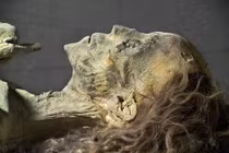 Nghề “chế” xác ướp để làm thuốc