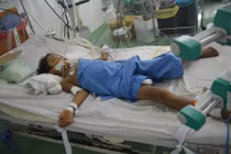 Bé 10 tuổi bị ong đốt 100 vết đang cần cứu sống