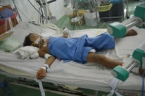 Bé 10 tuổi bị ong đốt 100 vết đang cần cứu sống