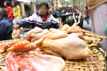 Tác hại khôn lường khi ăn gà tồn dư kháng sinh