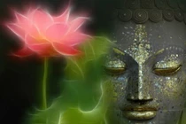 Biểu tượng hoa sen trong đạo Phật có ý nghĩa gì?