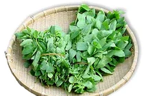 Các loại rau củ phòng run tay