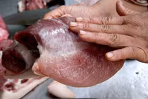 Thịt lợn giống siêu nạc không có hại