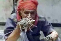 Ăn tươi nuốt sống cả trăm con rắn con