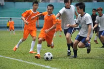 Tổn thương dây chằng chéo