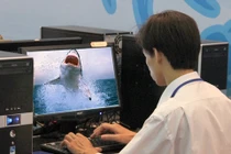 Hình nền động cho màn hình máy tính