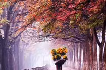 “Hà Nội có mùa thu tuyệt diệu nhất thế giới“