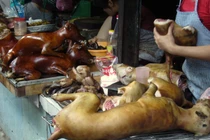 Phật giáo có cấm ăn thịt chó, ếch, cá chép?