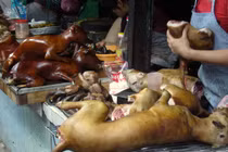 Phật giáo có cấm ăn thịt chó, ếch, cá chép?