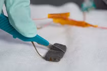 Vật liệu có khả năng tự phục hồi