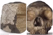 Đã mắt ngắm hiện vật 100 triệu năm tuổi