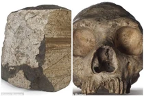 Đã mắt ngắm hiện vật 100 triệu năm tuổi