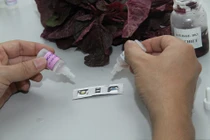 Mẫu thử nhanh biết rau sạch hay bẩn