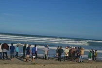 Một nam sinh mất tích bí ẩn trong ngày nhà giáo VN