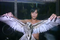 Bắt được chim lạ, sải cánh 1m ở Đồng Tháp