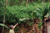 Thực hư kho báu núi Rồng