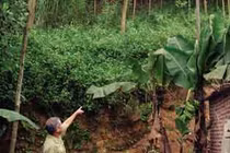 Thực hư kho báu núi Rồng