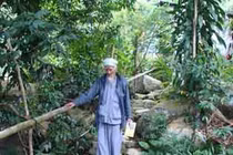 Có hay không “người rừng” ở núi Cấm?