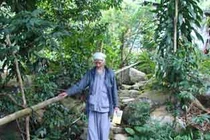 Có hay không “người rừng” ở núi Cấm?