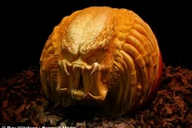 Những hình ảnh có “1-0-2” về bí ngô Halloween