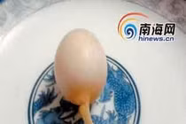 Kỳ quái trứng gà mọc ra... đuôi chuột