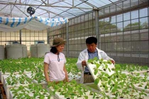 “Tôi viết tâm thư nhưng các Bộ vẫn im lặng“